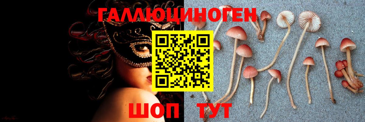 Псилоцибиновые грибы MAGIC MUSHROOMS Арзамас